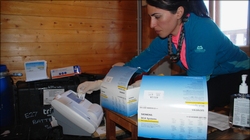 Maryam tests the urine using the DCA machine